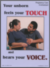 Pregnancy Care: Involvement, Poster