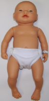 Baby Training Model: Female Light