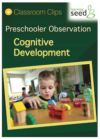 Preschooler Observation: Cognitive Development, DVD