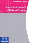 Understanding Childhood Trauma: The Brain: Effects of Childhood Trauma, DVD