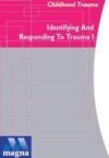 Understanding Childhood Trauma: Identifying and Responding to Childhood Trauma Vol. 1, DVD